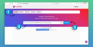 Passo 2: incollare link Instagram downloader