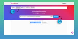 Passo 2: incollare link Instagram downloader tool per scaricare foto