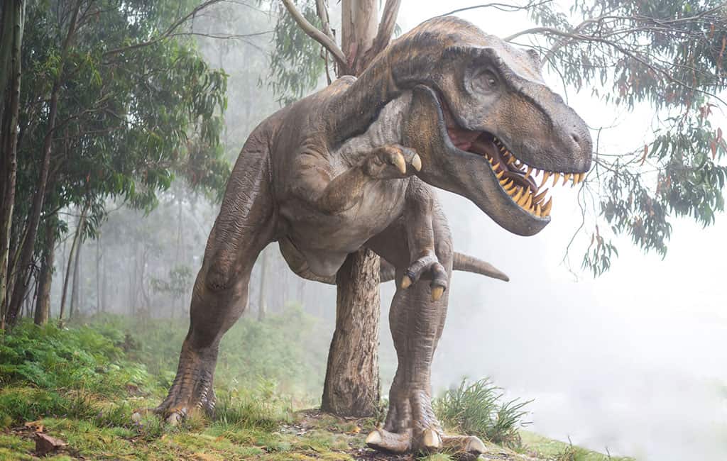 Tirannosaurus Rex carnivori grandi